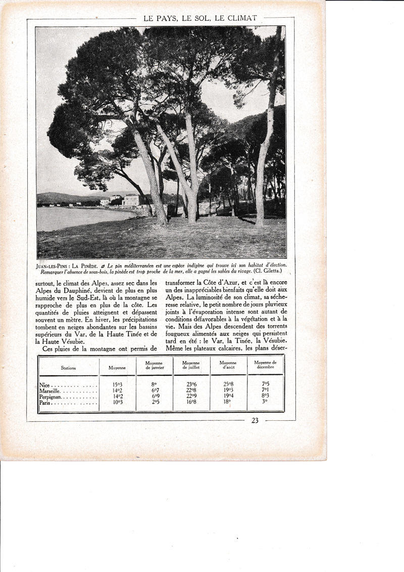 LAMINA 30114: Juan-Les-Pins La Pinede