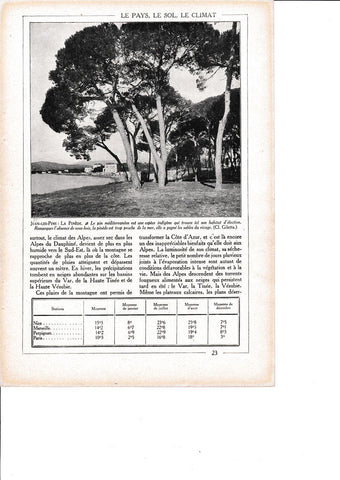 LAMINA 30114: Juan-Les-Pins La Pinede