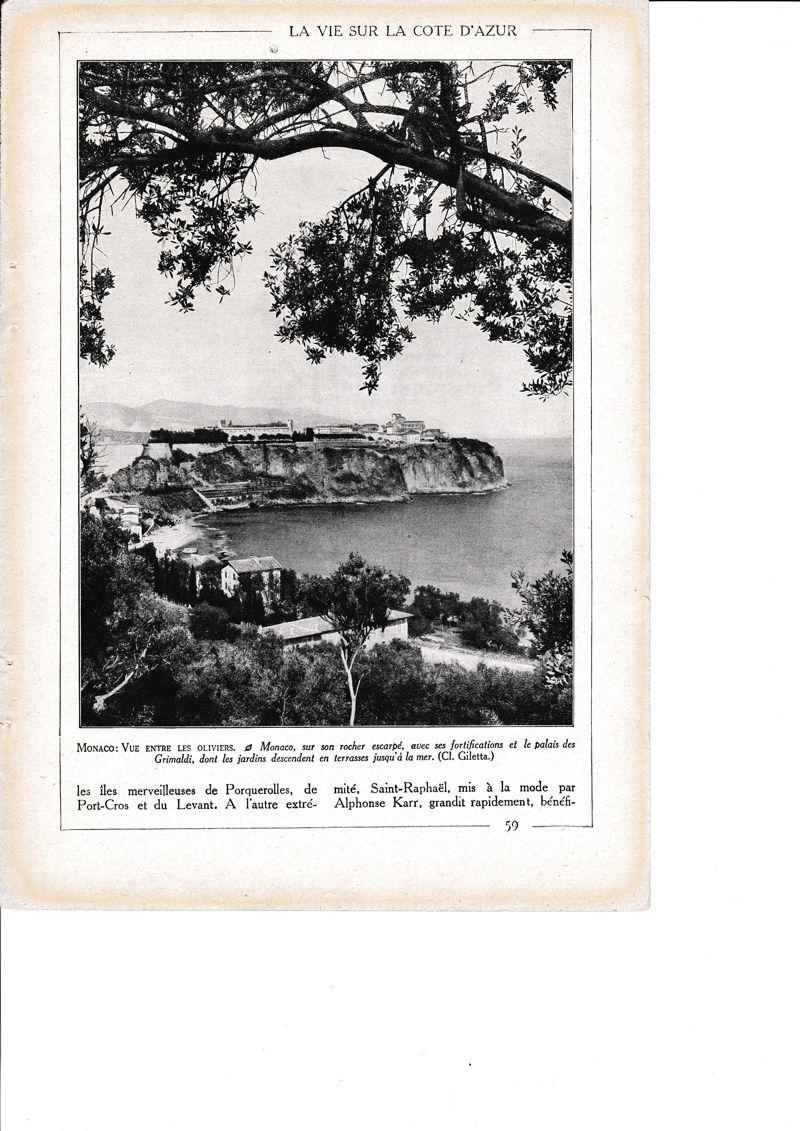 LAMINA 30132: Monaco Vue entre Les Oliviers