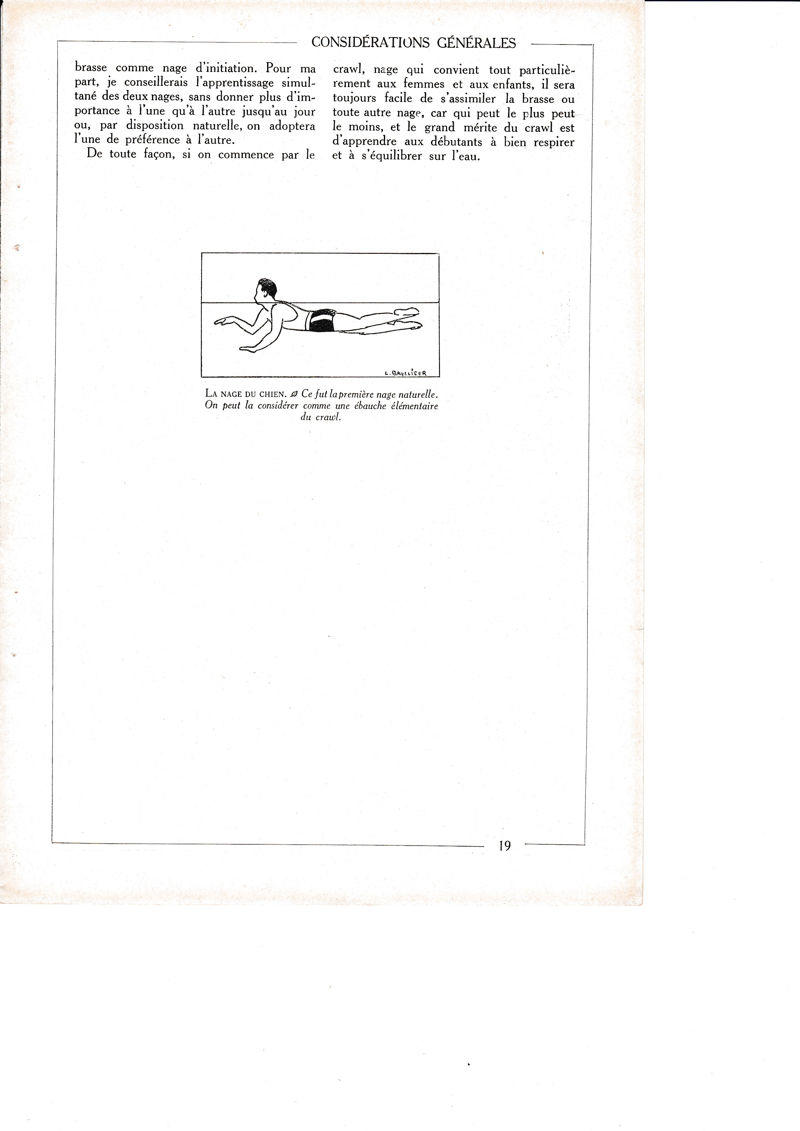 LAMINA 30146: La nage du chien