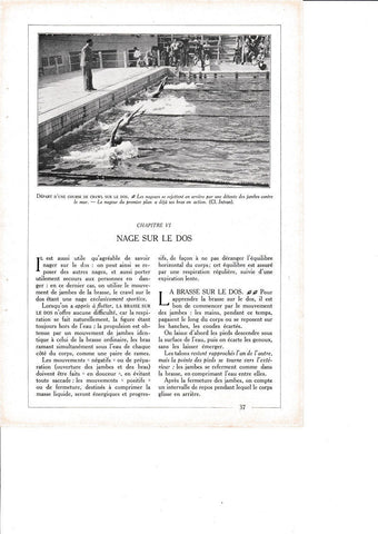 LAMINA 30155: Depart d une course de crawl sus le dos