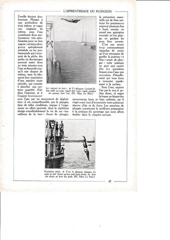 LAMINA 30160: Le Soldat de Bois Plongeon Droit