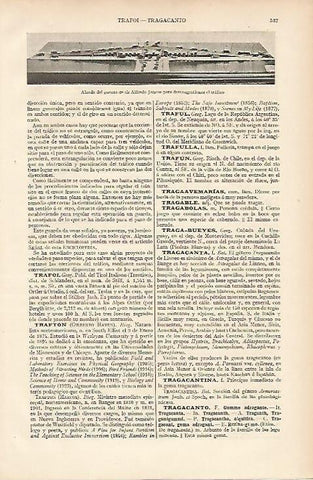 LAMINA ESPASA 11040: Alzada del puente de Alfred Jarrow