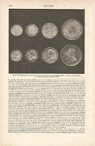 LAMINA ESPASA 11159: Monedas de Transvaal Sudafrica
