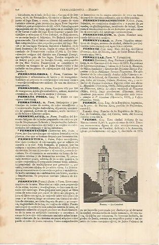 LAMINA ESPASA 11301: Catedral de Fermo Italia