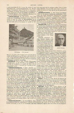LAMINA ESPASA Alemania 11361: Vista de Geislingen Alemania