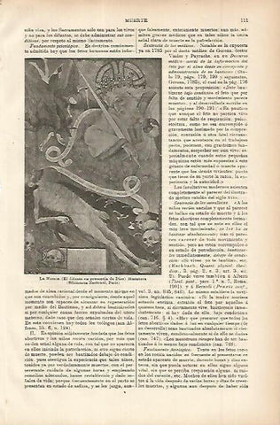 LAMINA ESPASA 11446: La Muerte