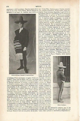 LAMINA ESPASA 11584: Charros mexicanos
