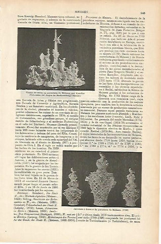 LAMINA ESPASA 11589: Porcelana de Meissen