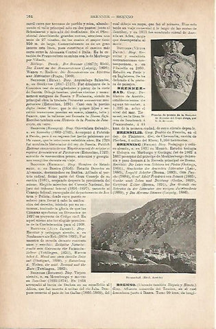 LAMINA ESPASA 11659: Vista de Brennerbad Austria