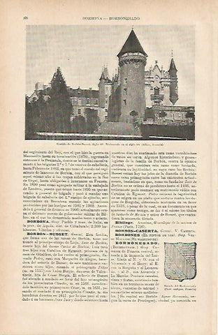 LAMINA ESPASA 11770: Castillo de Borbon-Busset Francia