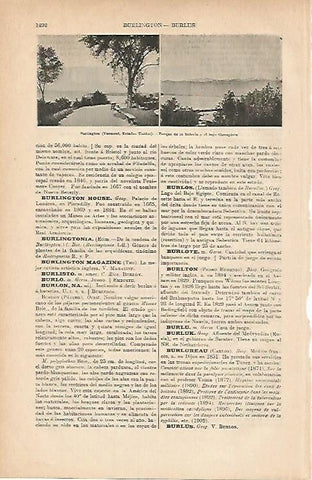 LAMINA ESPASA 11915: Vistas de Burlington Estados Unidos