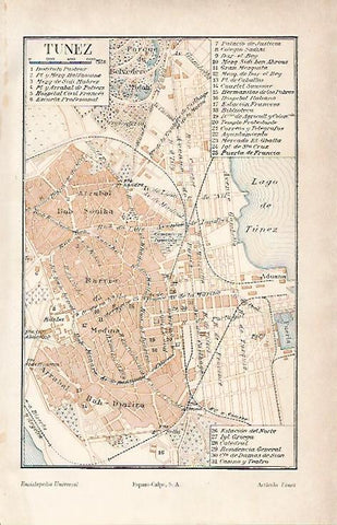 LAMINA ESPASA 11965: Plano de la ciudad de Tunez