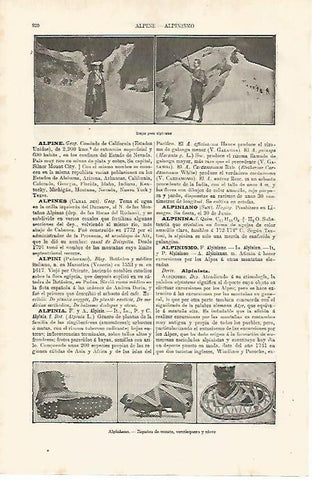 LAMINA ESPASA 11269: Trajes para alpinistas