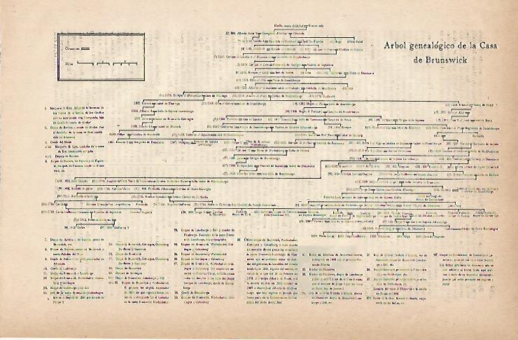 LAMINA ESPASA 11817: Arbol genealogico de la casa de Brunswick