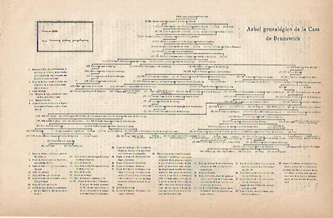 LAMINA ESPASA 11817: Arbol genealogico de la casa de Brunswick