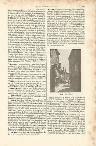 LAMINA ESPASA 11367: Calle Mayor de Gien Francia