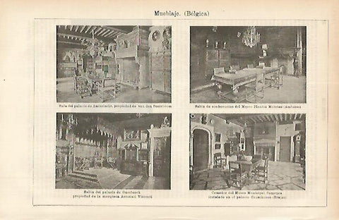 LAMINA ESPASA 11436: Muebles de Belgica