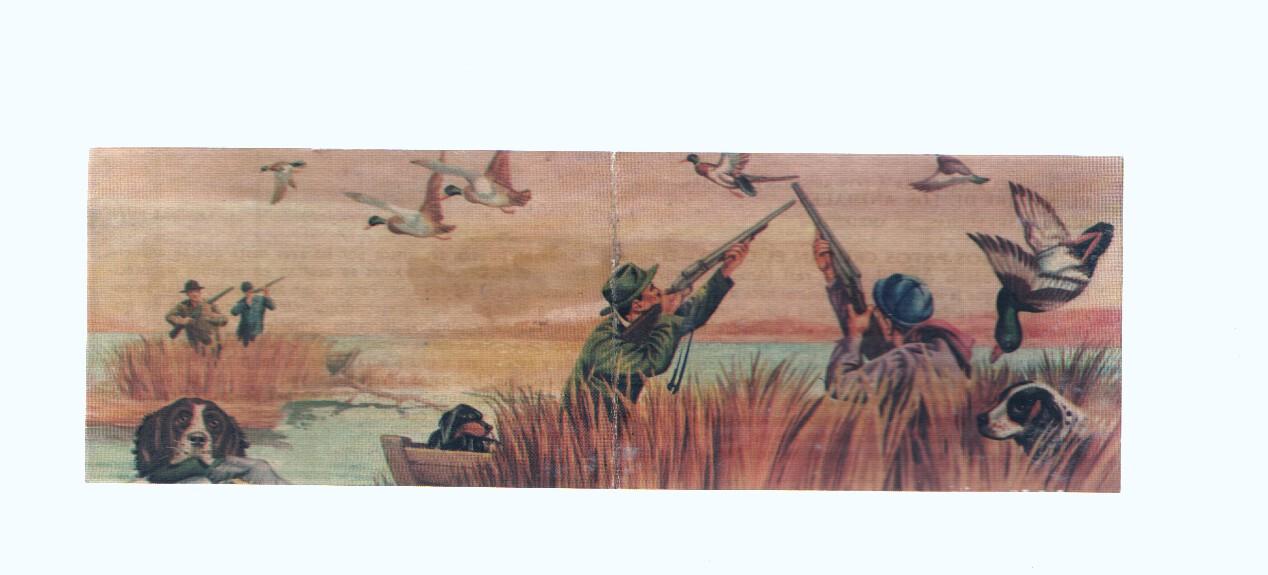 Cromos: de la Selva Misteriosa a los abismos del mar: numero 048-049: Los patos cruzan el cielo