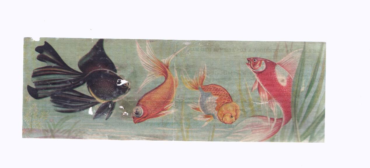 Cromos: de la Selva Misteriosa a los abismos del mar: numero 099-100: Vida fantastica multicolor
