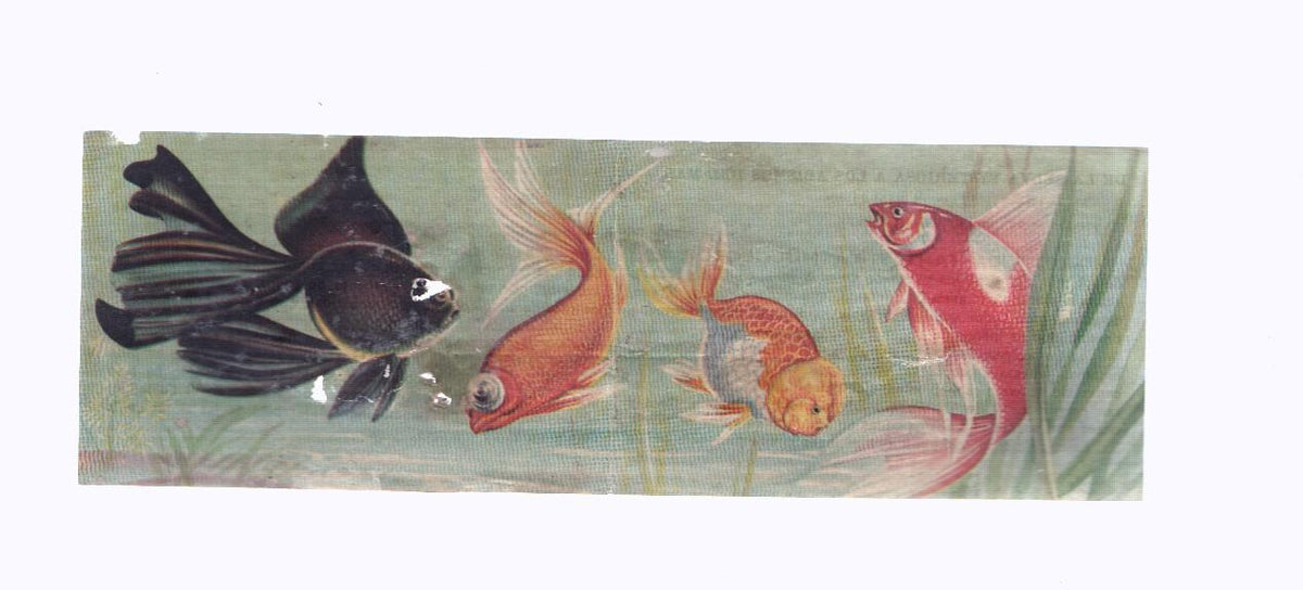 Cromos: de la Selva Misteriosa a los abismos del mar: numero 099-100: Vida fantastica multicolor