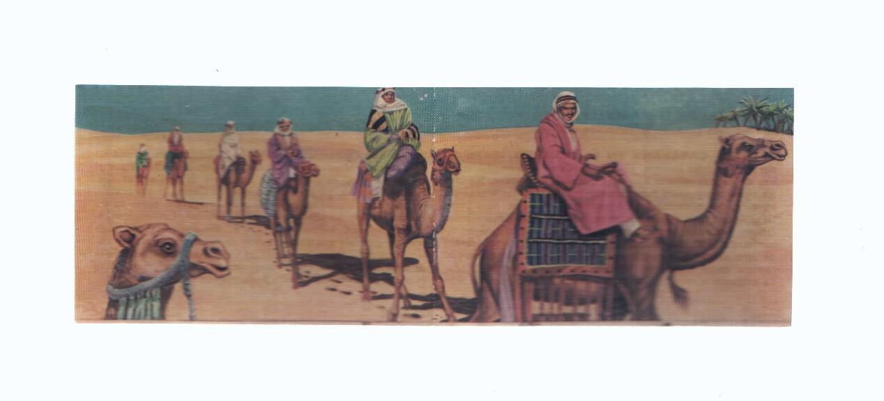 Cromos: de la Selva Misteriosa a los abismos del mar: numero 124-125: Caravana en el desierto
