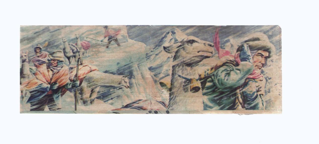 Cromos: de la Selva Misteriosa a los abismos del mar: numero 232-233: Caravana de llamas del Peru