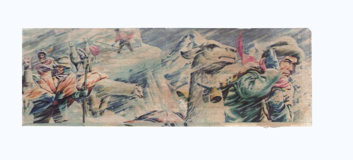 Cromos: de la Selva Misteriosa a los abismos del mar: numero 232-233: Caravana de llamas del Peru