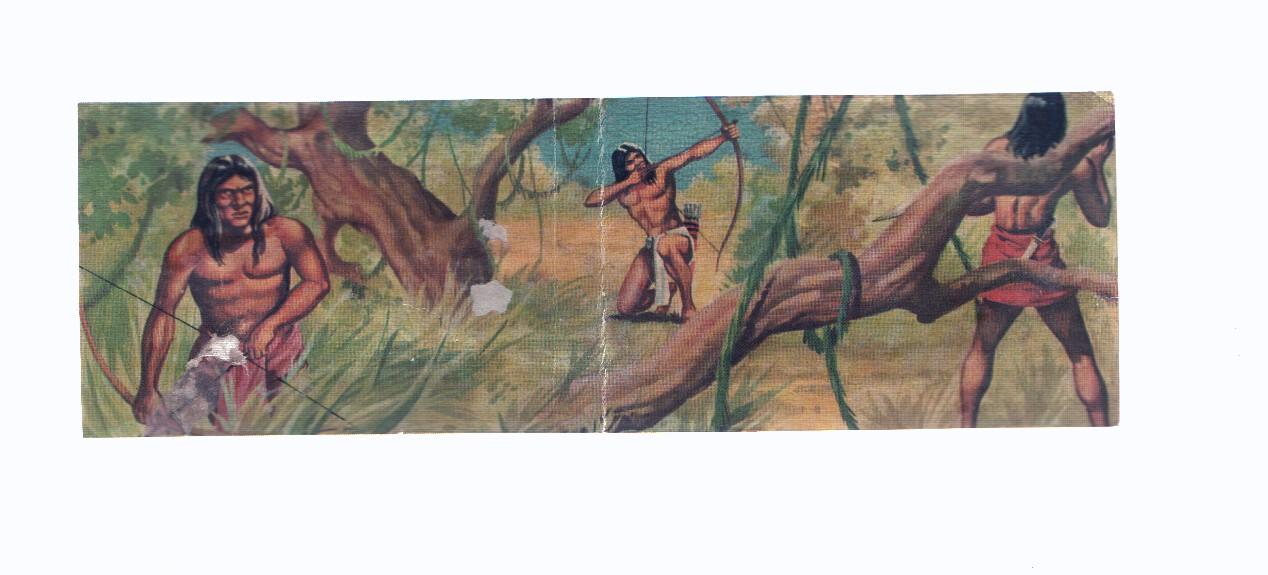 Cromos: de la Selva Misteriosa a los abismos del mar: numero 238-239; Sobre la selva del amazonas