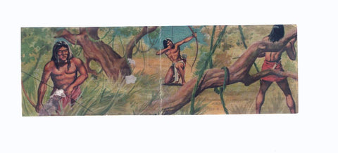 Cromos: de la Selva Misteriosa a los abismos del mar: numero 238-239; Sobre la selva del amazonas