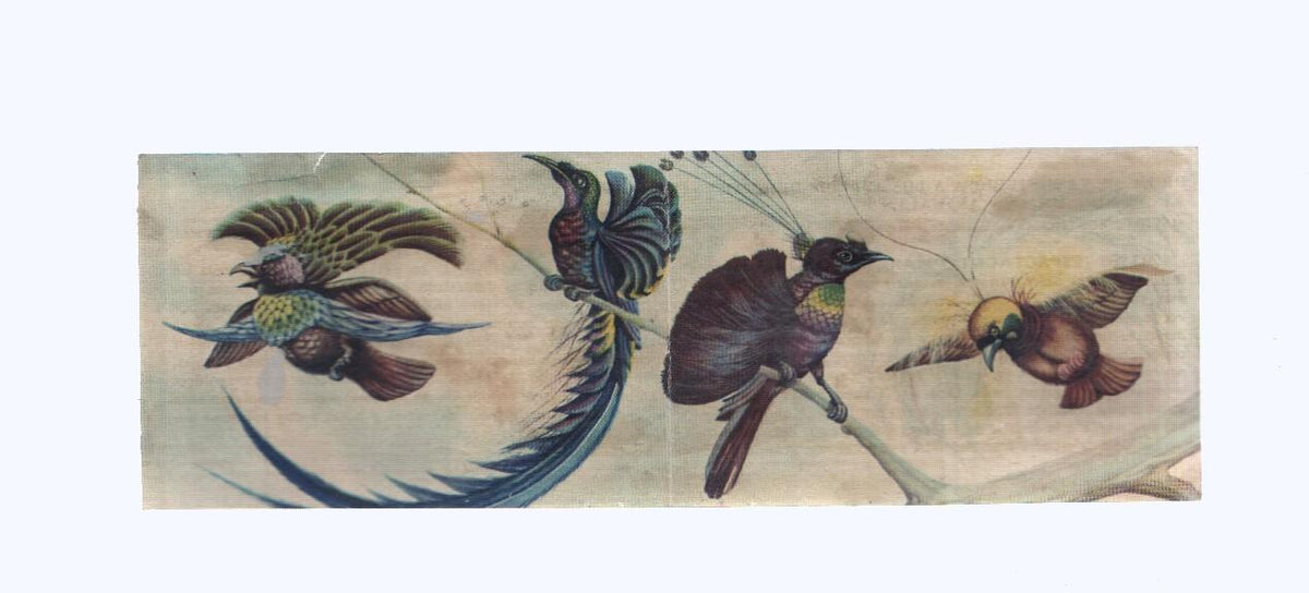 Cromos: de la Selva Misteriosa a los abismos del mar: numero 265-266: Espectaculo maravillos