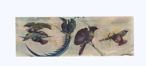 Cromos: de la Selva Misteriosa a los abismos del mar: numero 265-266: Espectaculo maravillos