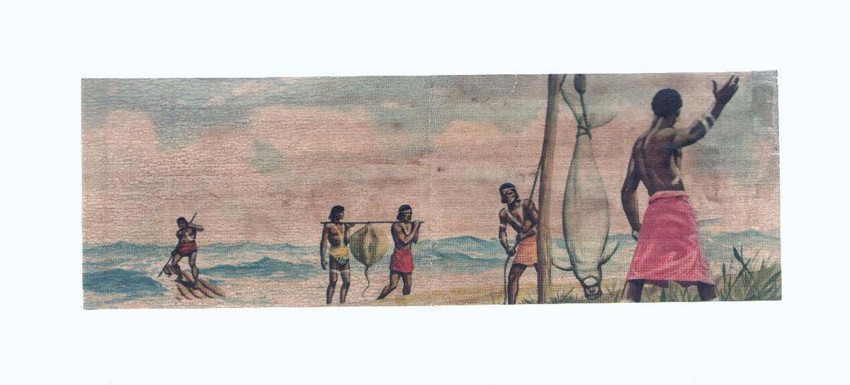 Cromos: de la Selva Misteriosa a los abismos del mar: numero 283-284: Pesca indigena