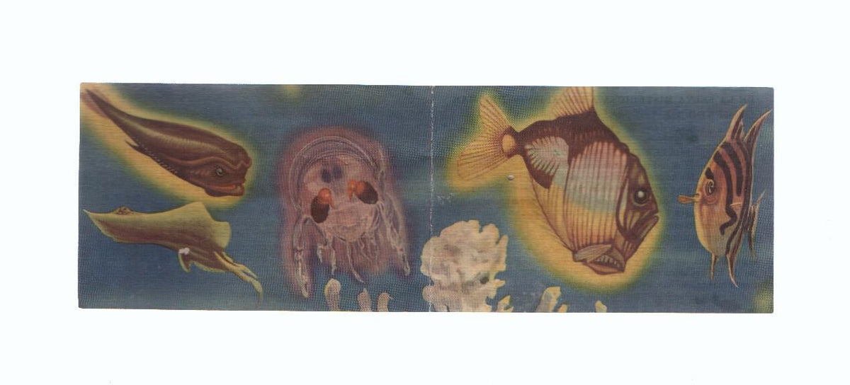 Cromos: de la Selva Misteriosa a los abismos del mar: numero 301-302: Misterioso mundo en la eterna noche