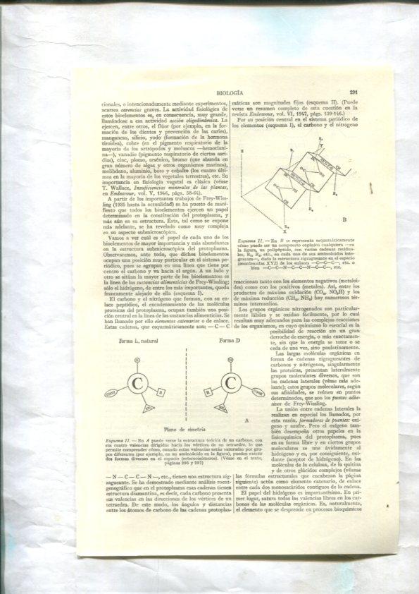 ESPASA 1957/1958: Apendice Biologia : 48 paginas
