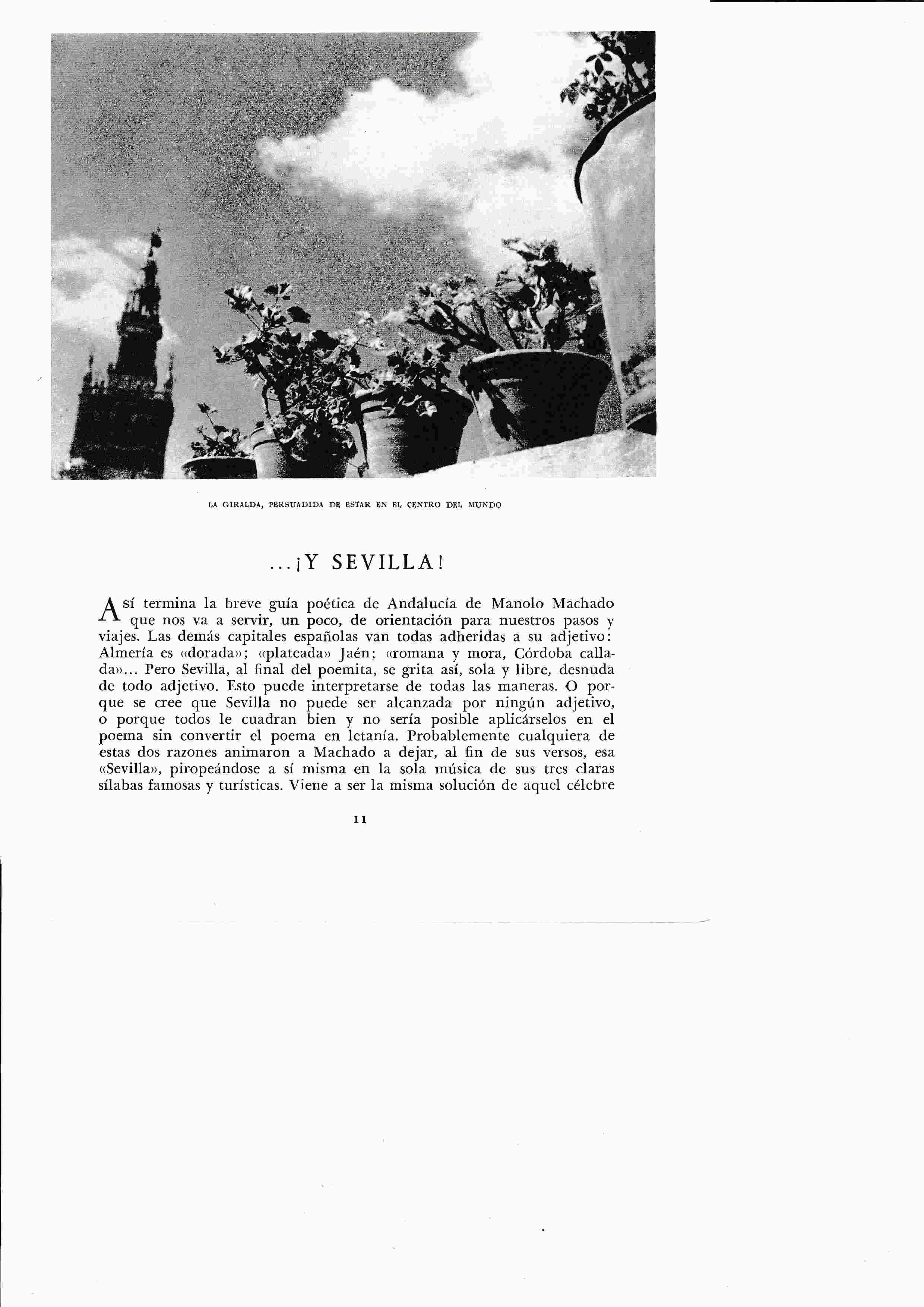 LAMINA 6318: La Giralda