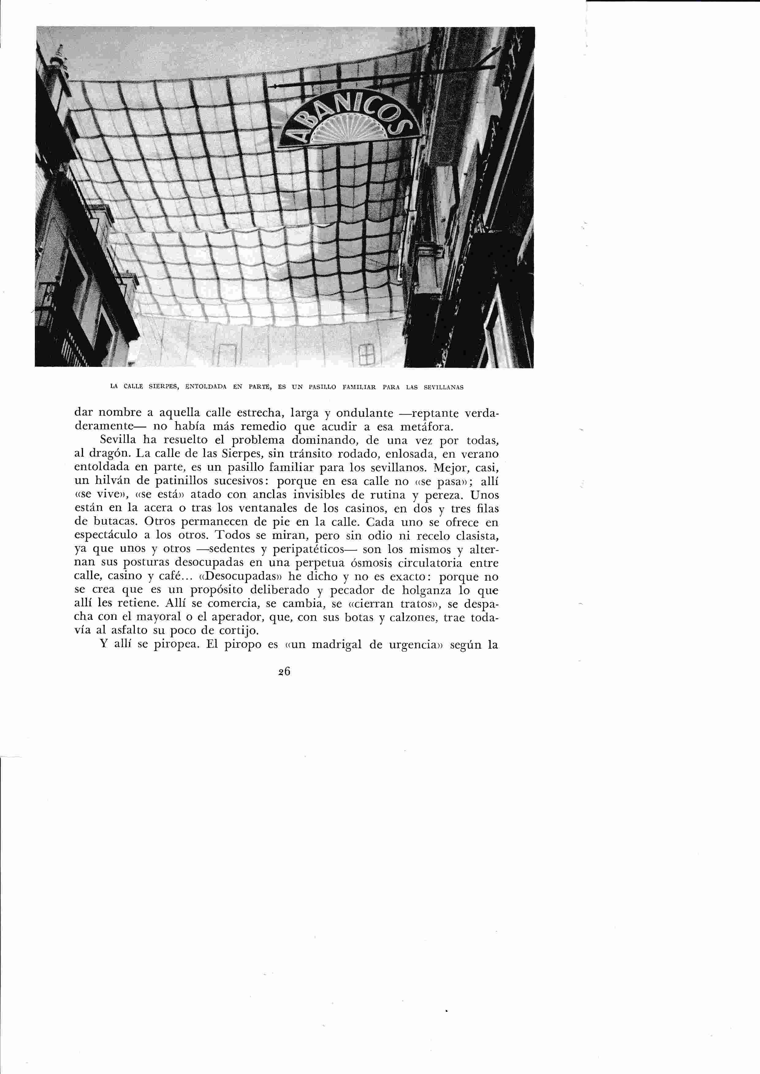 LAMINA 6324: La calle sierpes entoldada