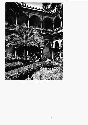LAMINA 6329: Palacio de las Dueñas se deja sentir el cortijo