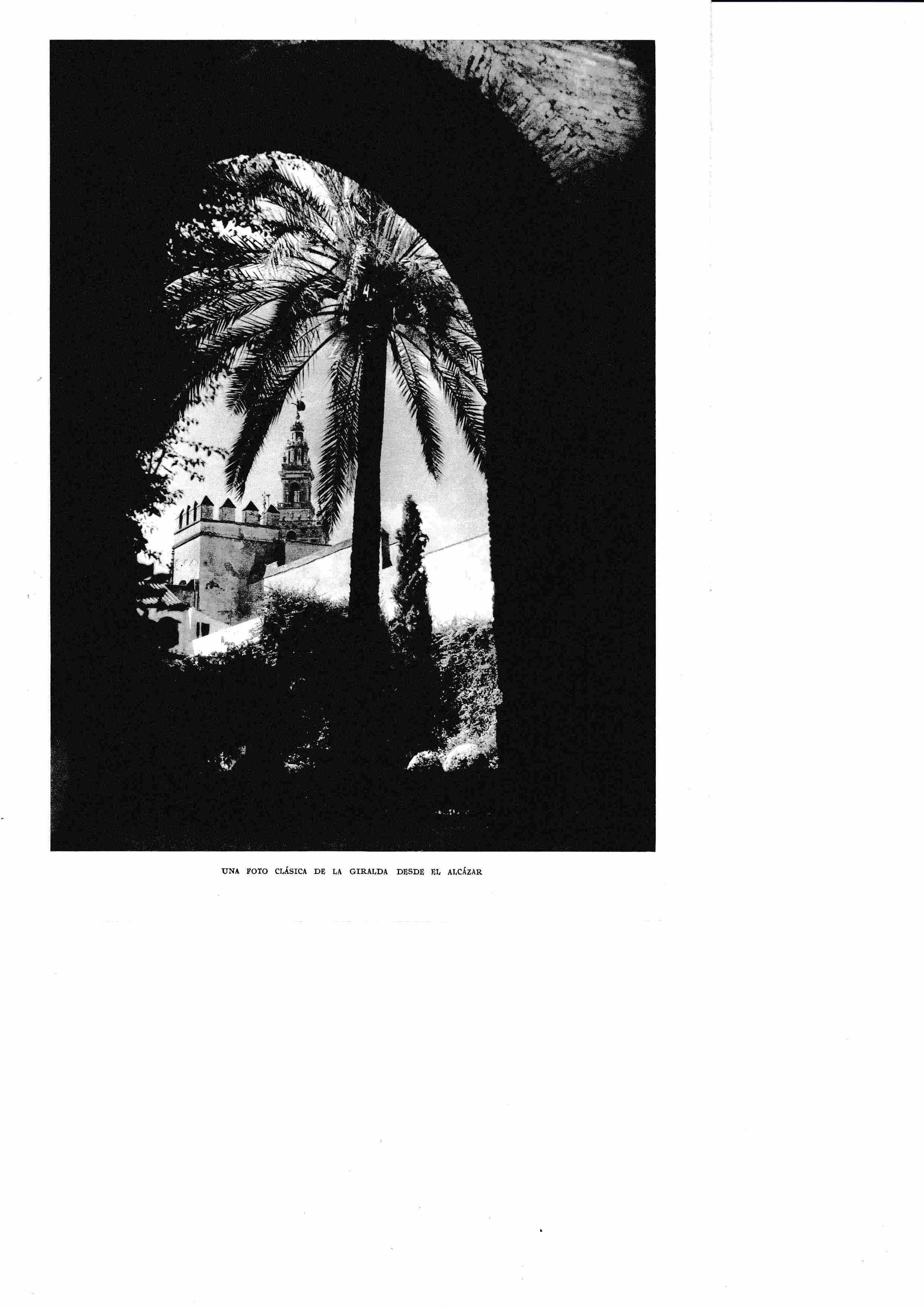 LAMINA 6345: La Giralda desde el Alcazar