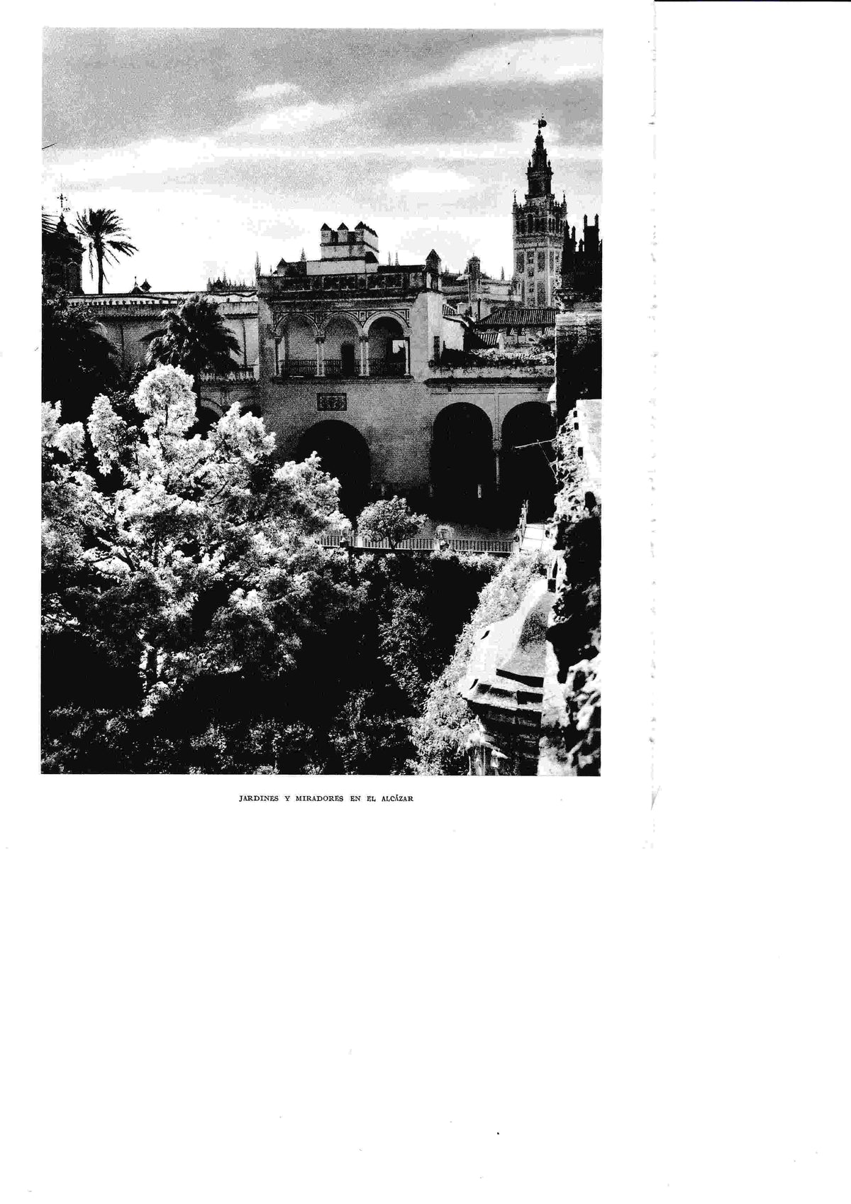 LAMINA 6350: Jardines y miradores en el Alcazar
