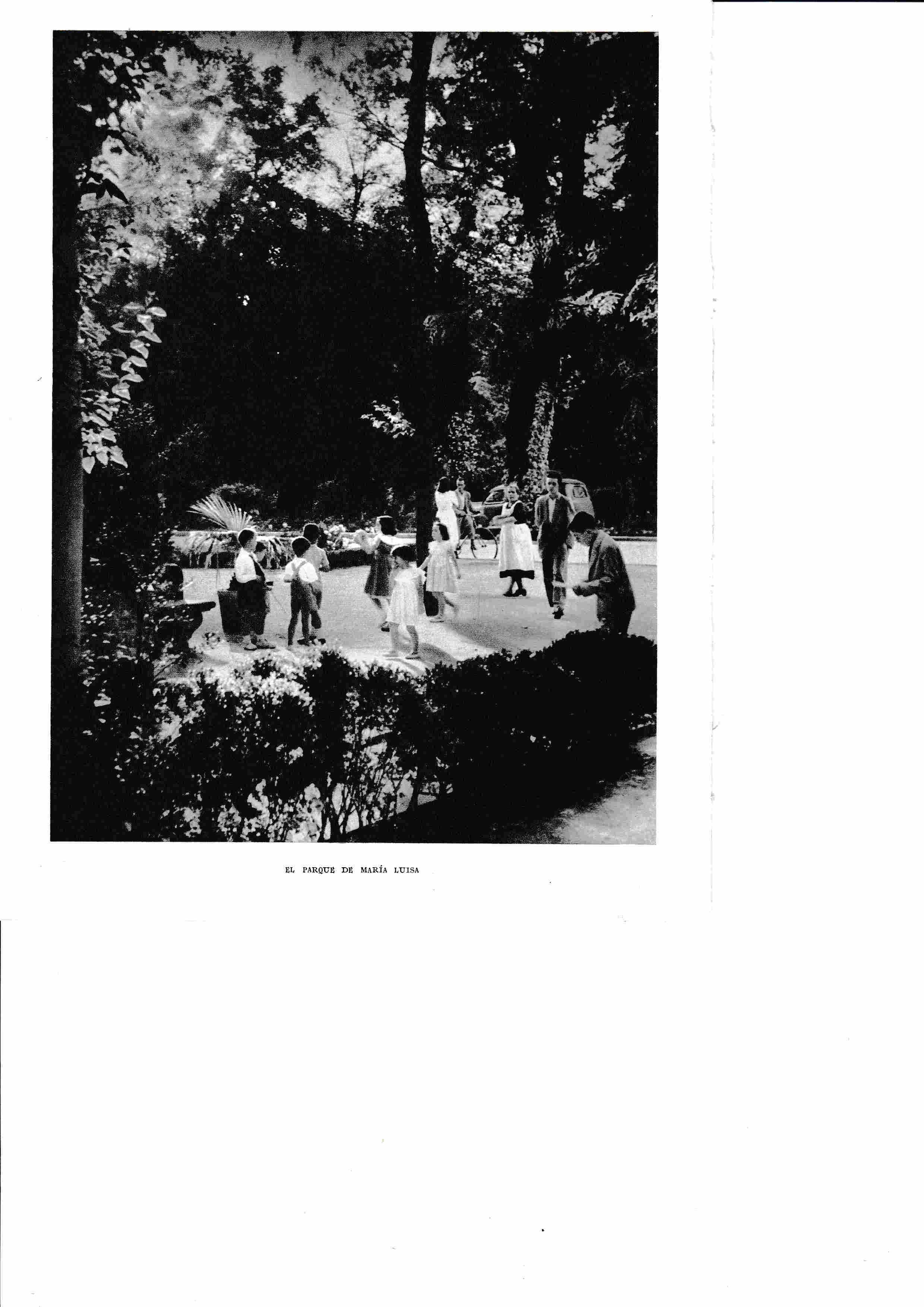 LAMINA 6359: El parque de Maria Luisa