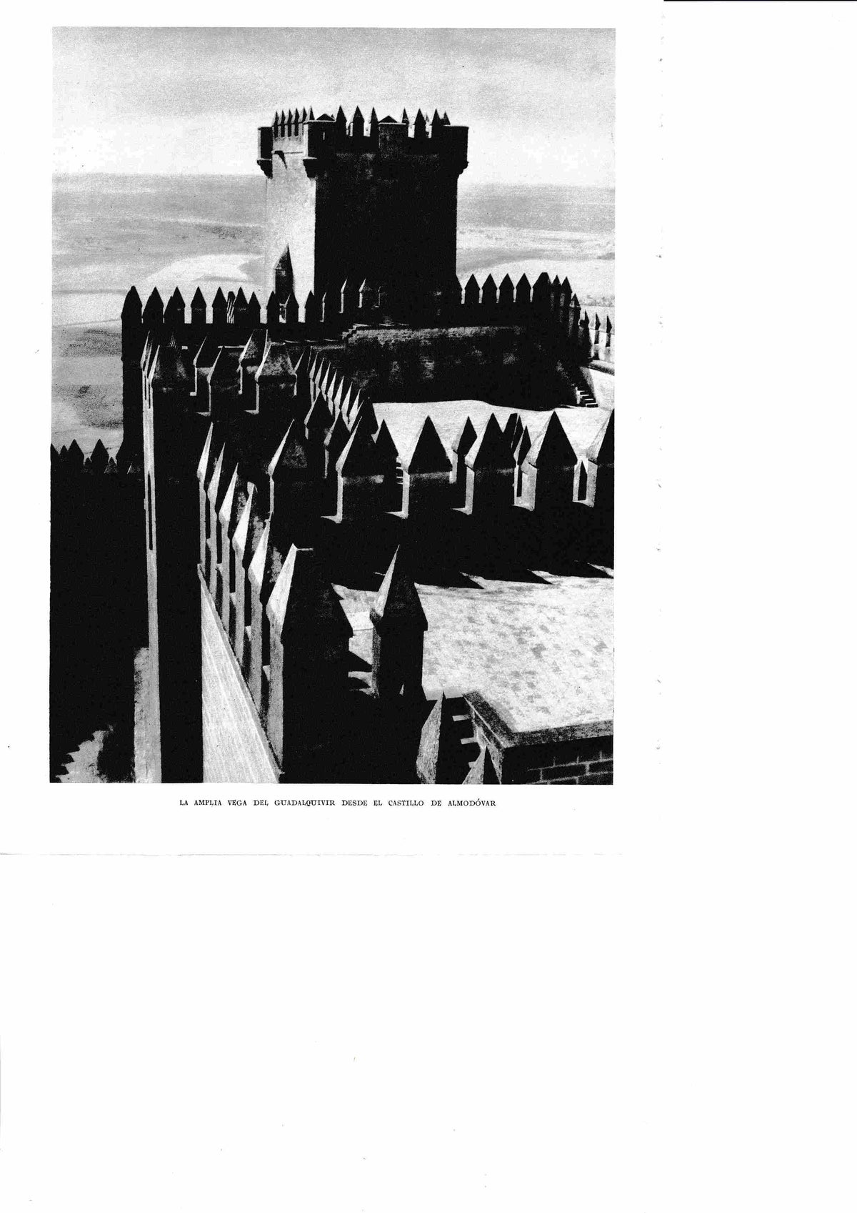 LAMINA 6381 La vega del guadalquivir desde el castillo de Almodovar