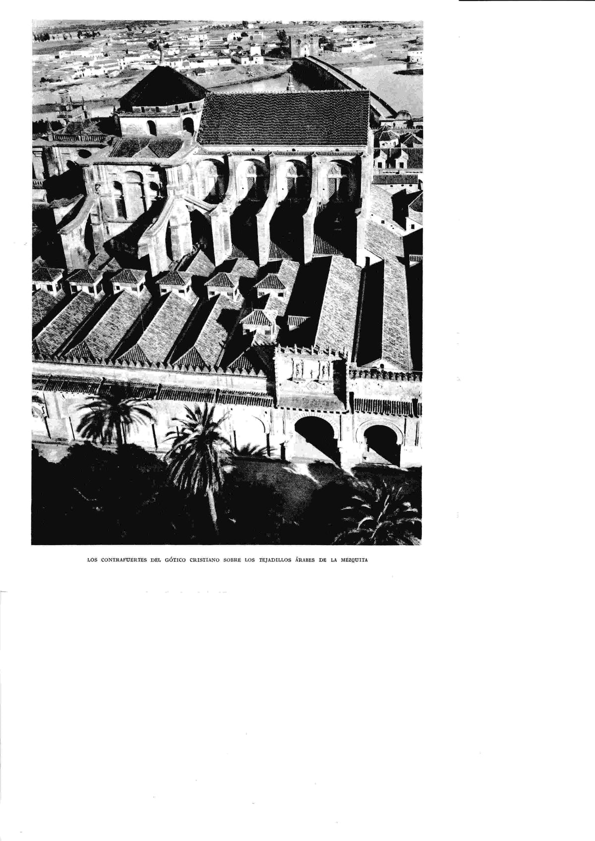 LAMINA 6384: Los contrafuertes del gotico cristinao sobre los tejadillos arabes de contrafuertes de la mezquita