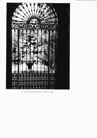 LAMINA 6391: Patio casa cordobesa a traves de una reja