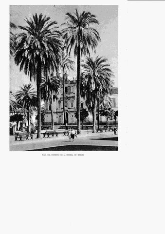 LAMINA 6415: Plaza del Convento de la Merced de Huelva