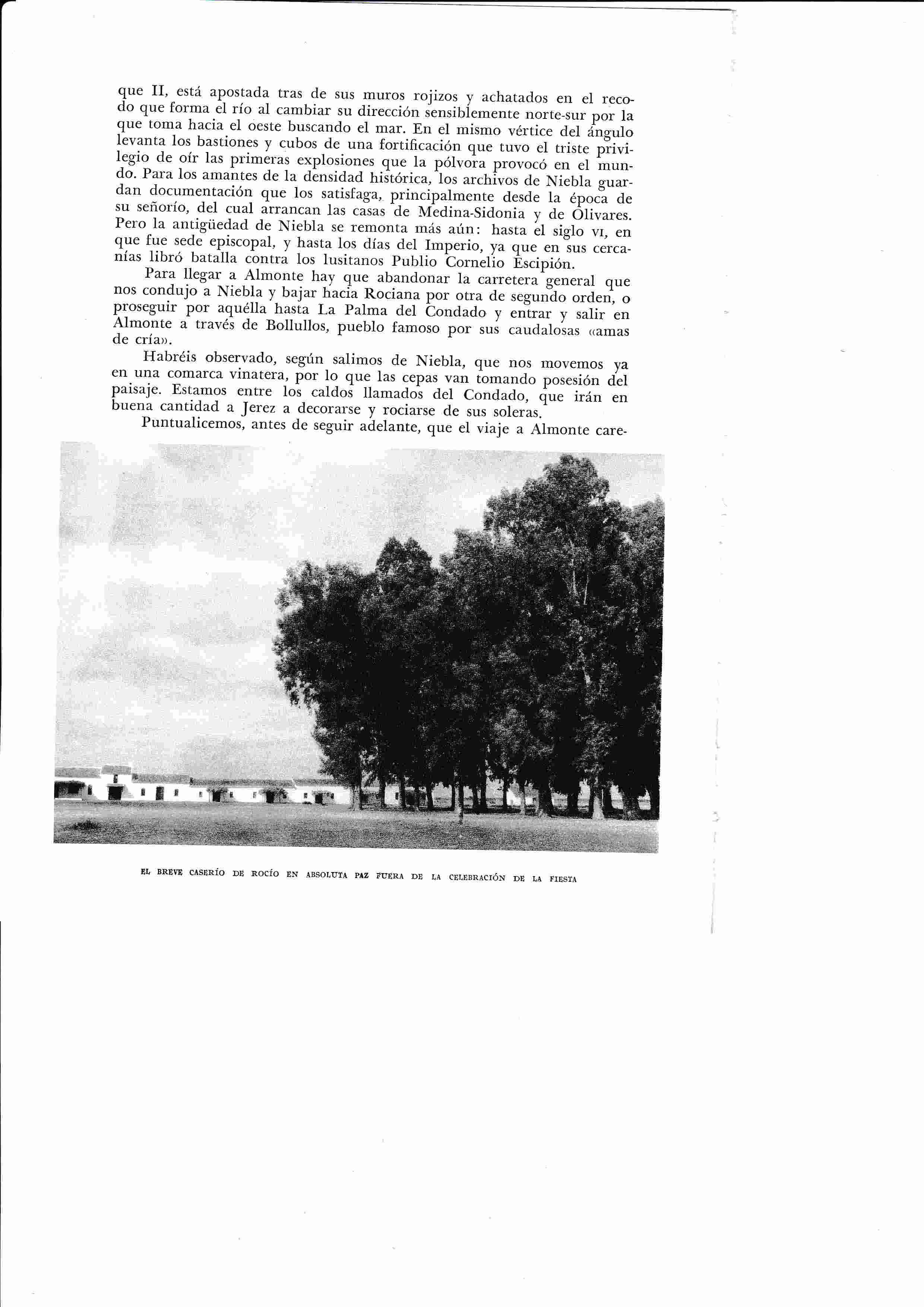 LAMINA 6424: El Rocio