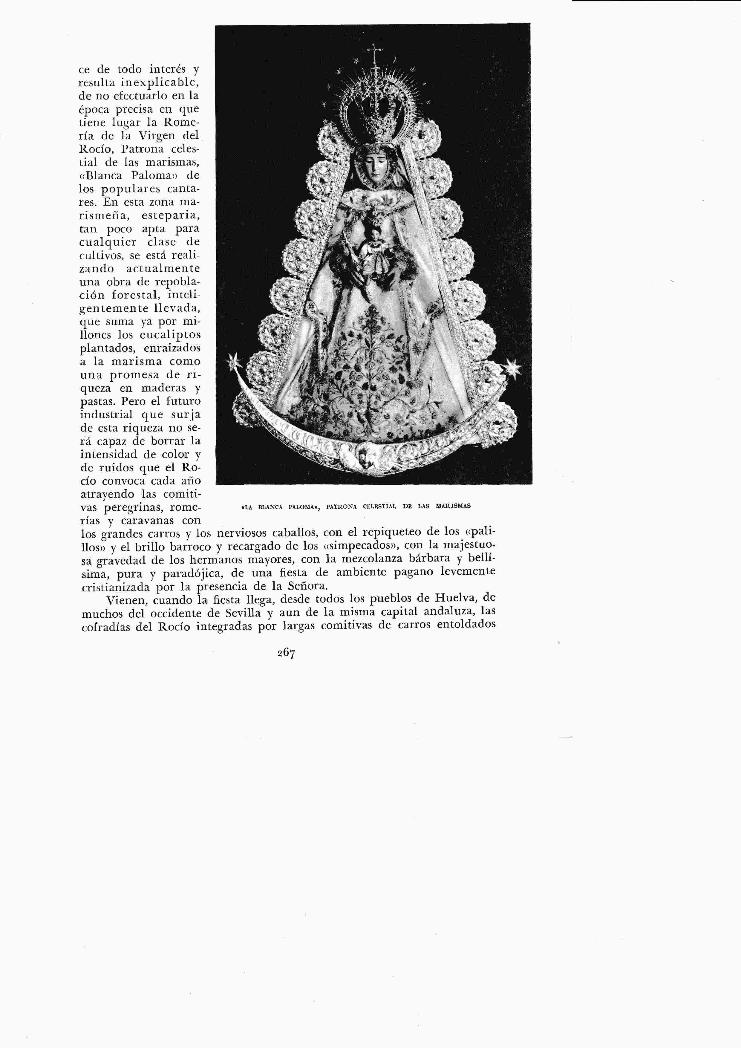 LAMINA 6425: La Blanca Paloma patrona de Las Marismas