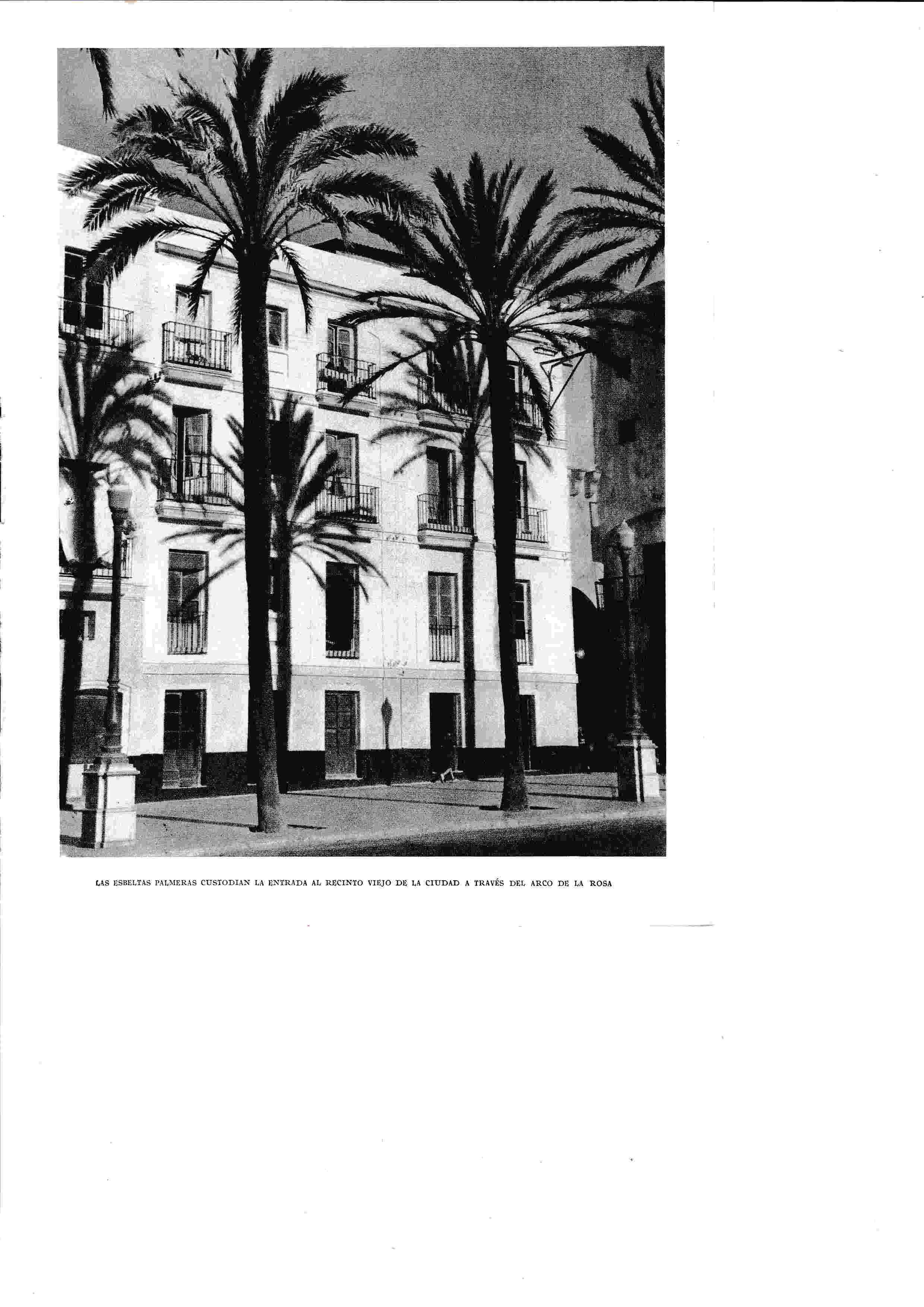 LAMINA 6446: Las palmeras frente al recinto viejo a traves del arco rosa