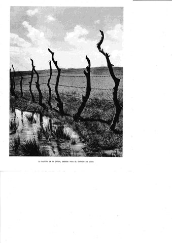 LAMINA 6452: La Laguna de la Janda 