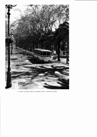 LAMINA 6459: La Alameda de Malaga